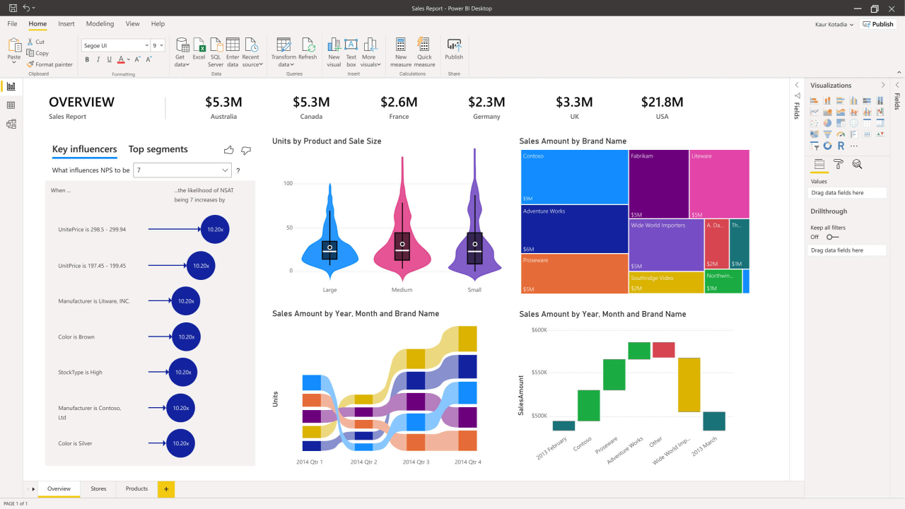 Introduction à Power BI : Premiers pas avec la visualisation des données